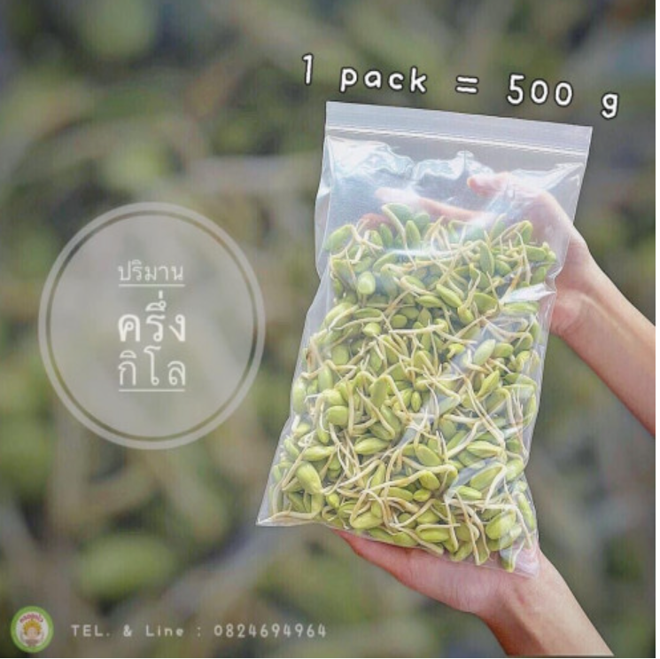 FD20-ถั่วงอก ปลอดสาร