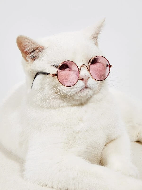 1 อัน แว่นตา สัตว์เลี้ยง เลนส์กลม ม-032