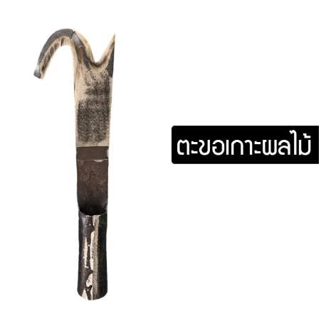 D52-มีดเกาะตาล มีดเกาะมะพร้าว กิ่งใม้ ผลิตจากเหล็กแหนบ ที่เกาะมะพร้าว