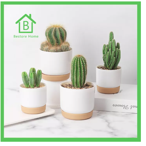 UTI22-BestoreHome (เฉพาะกระถาง) ?กระถางต้นไม้? กระถางขนาดเล็ก กระถางต้นไม้น่ารักๆราคาถูก