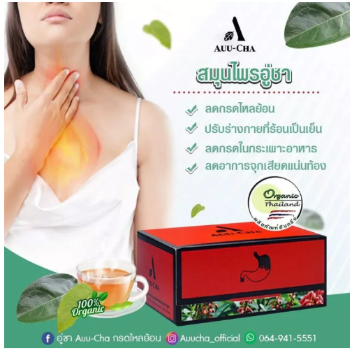 ส091 ส่งฟรี❗2 กล่อง Auu-Cha อู่ชา auu​ chaแก้กรดไหลย้อน​ อู่ชากรดไหลย้อน​ อู่ชาย่านางแดง​ ชาลดกรดไหลย้อน ชาแก้กรดไหลย้อน สมุนไพรลดกรดไหลย้อน