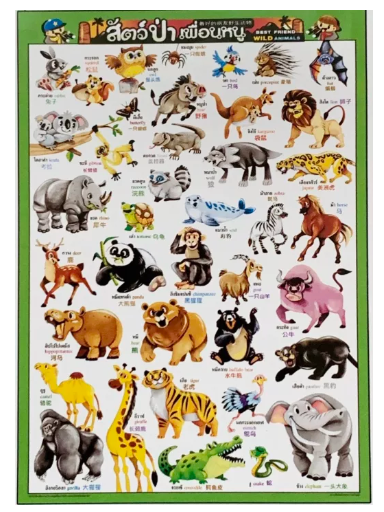 TOY08-โปสเตอร์ความรู้สำหรับเด็ก สัตว์ป่าเพื่อนหนู